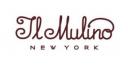 il-mulino-logo.thumbnail.jpg