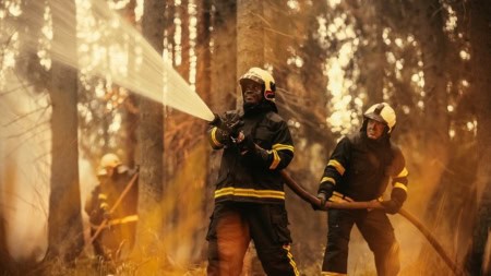 Wildfire Preparedness