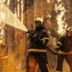 Society Insurance Wild Fire
